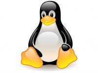 Inclusion numérique : 10 questions à se poser pour organiser un atelier d’informatique sous Linux